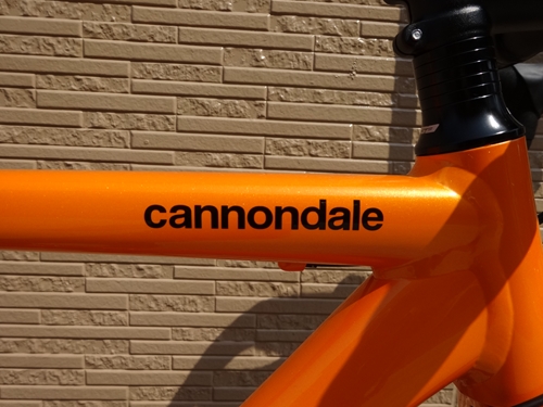 一流メーカー❗️激安‼️2020モデルCannondale OPTIMO SORA 2020' Cannondale CAAD Optimo Sora-(新潟の自転車のプロ